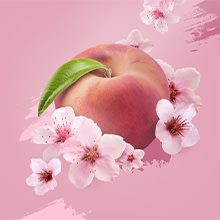 CORAL концентрат омекотител 675 мл / 27 пр - цвят череша и праскова